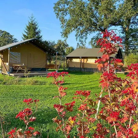 Luxury tent Camping?glamping Morskersweitje Winterswijk